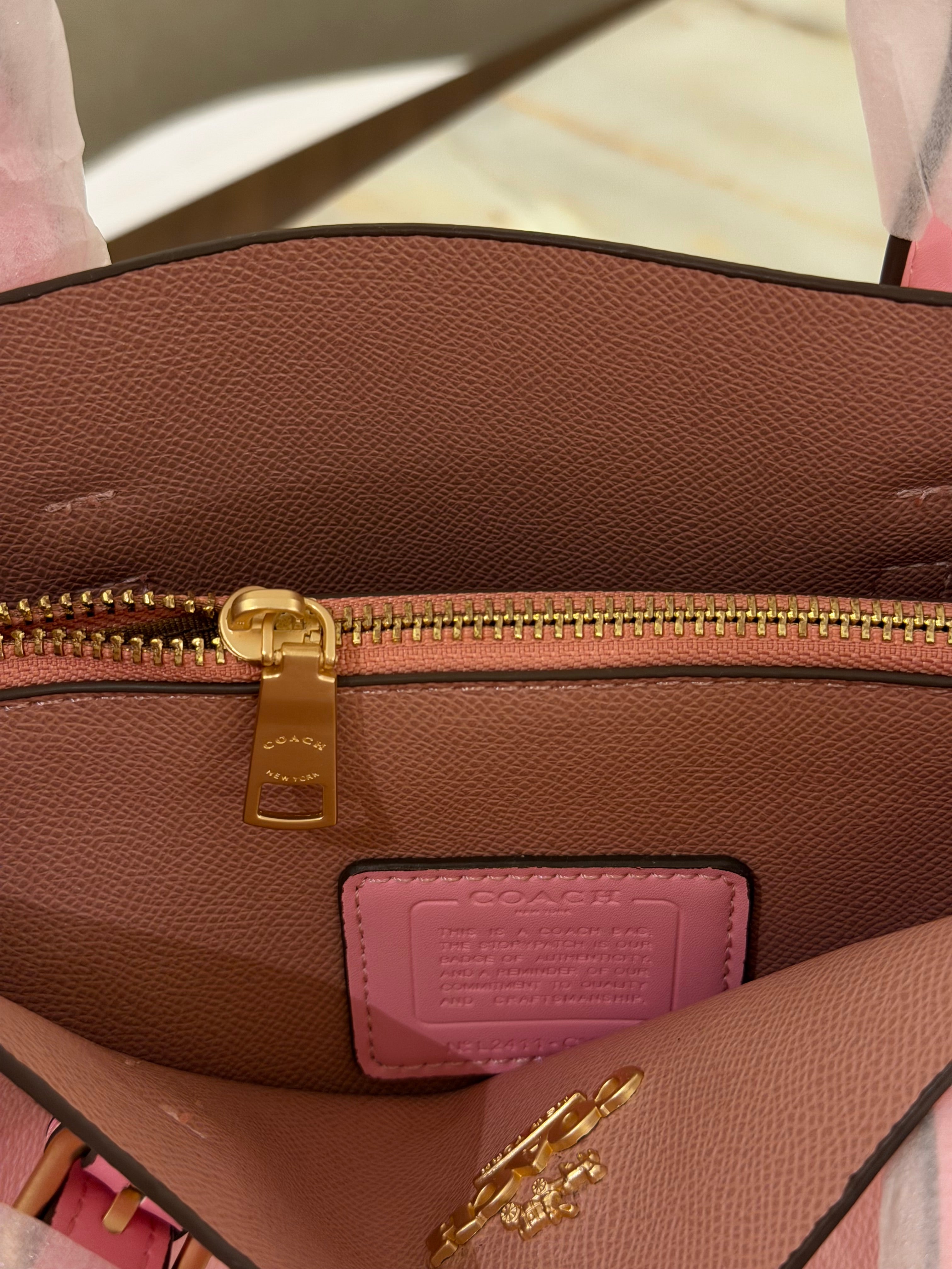 Coach Mollie Tote (25)
