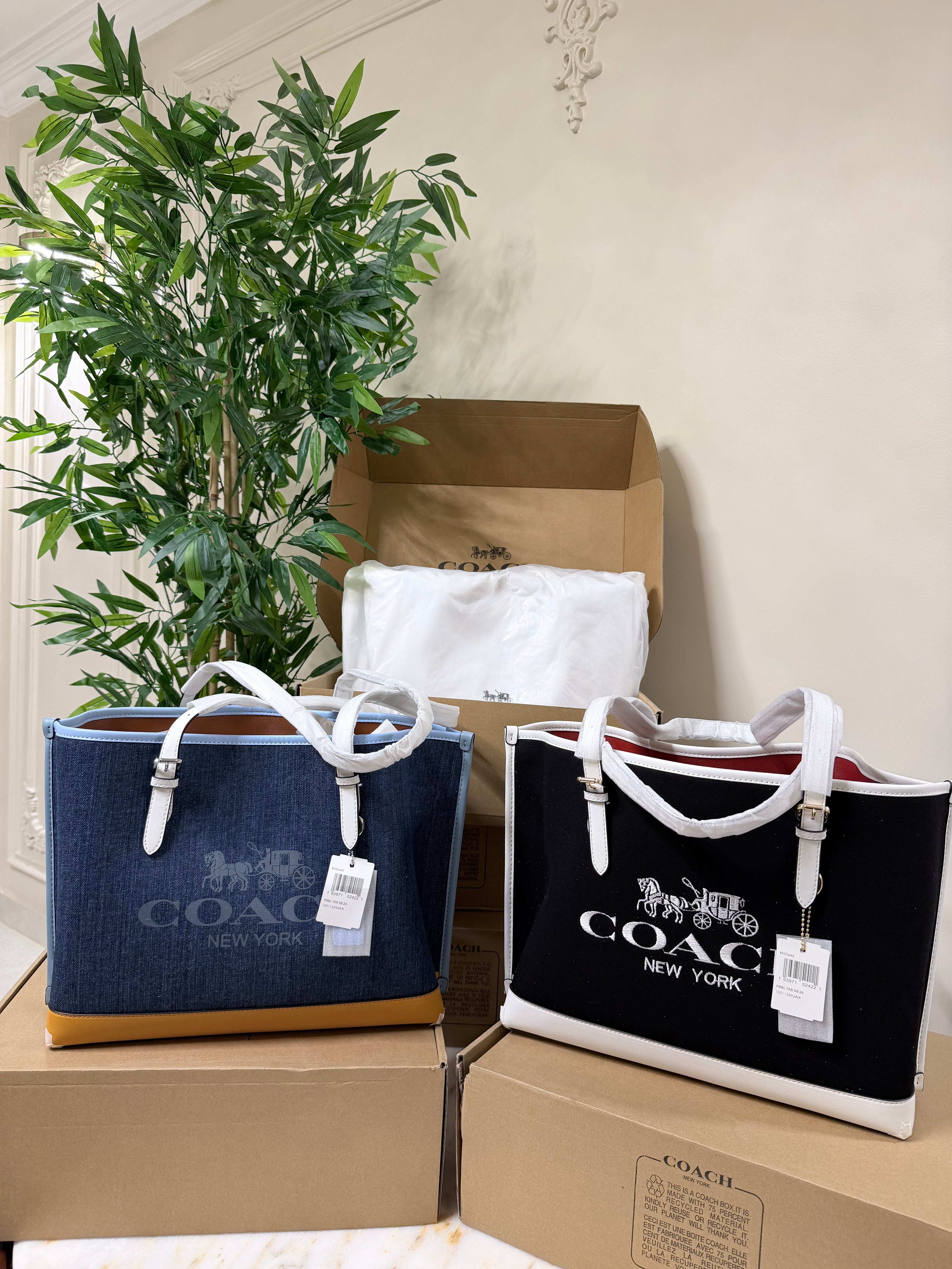 Coach Tote (38)