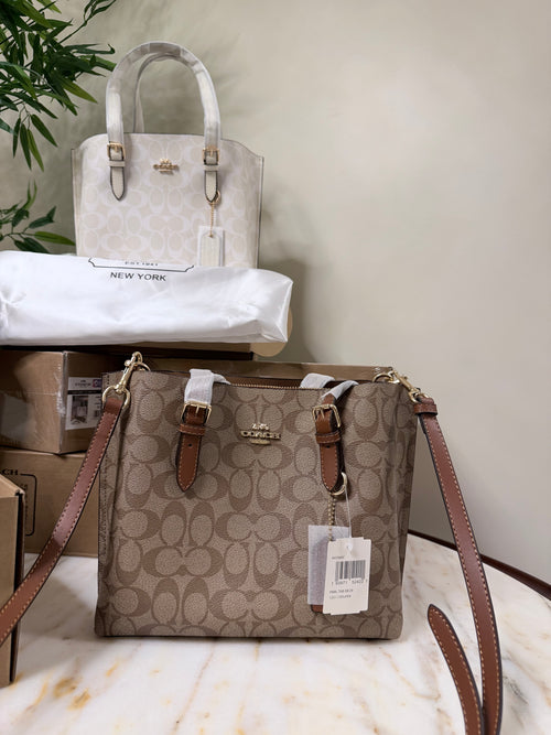 Coach bag (25) Brown