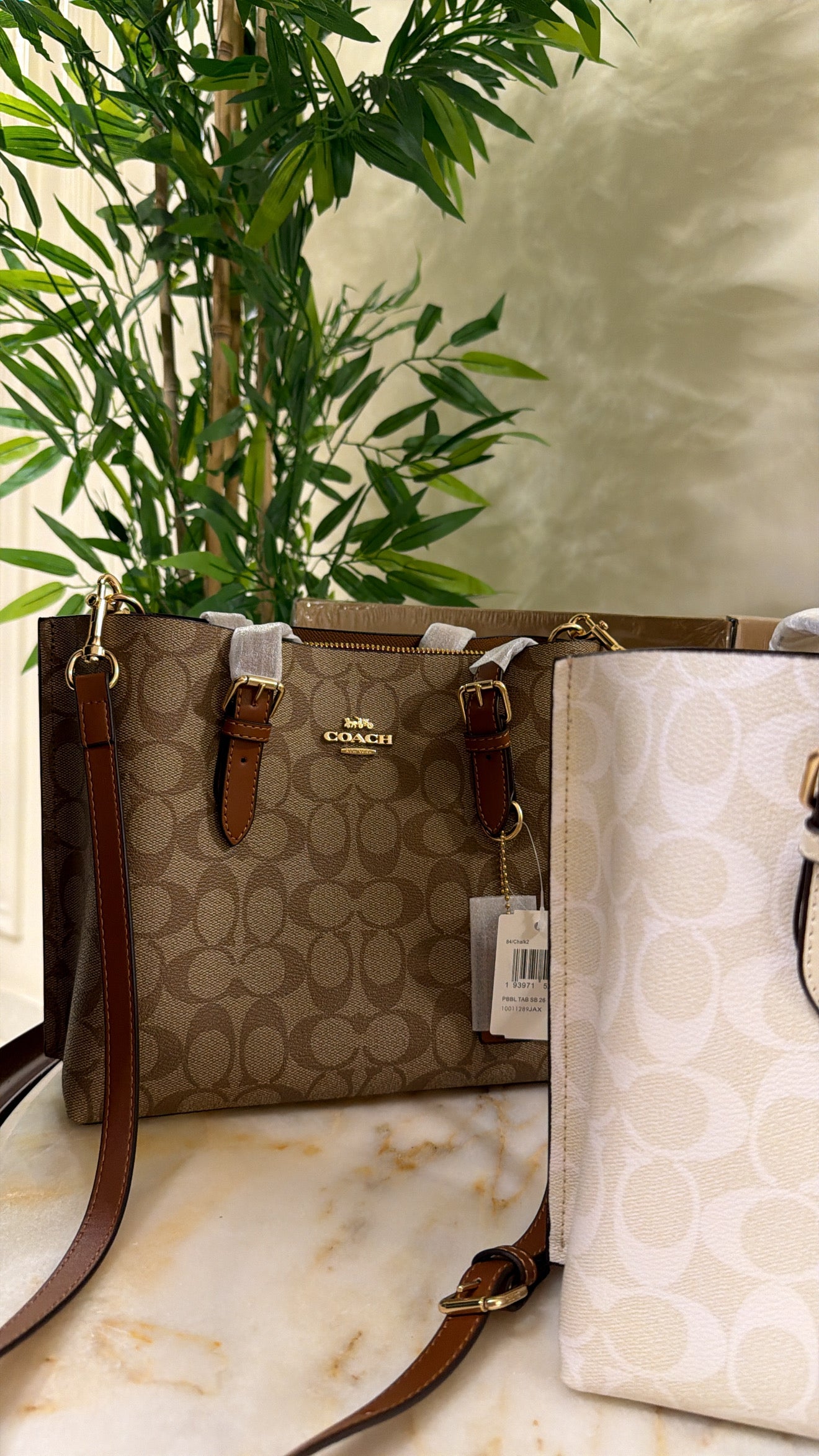 Coach bag (25) Brown