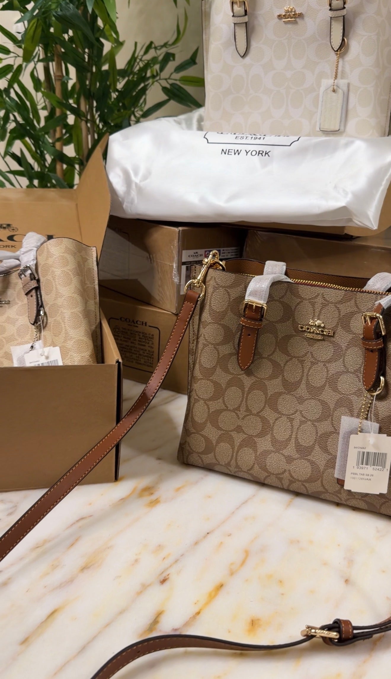 Coach bag (25) Brown
