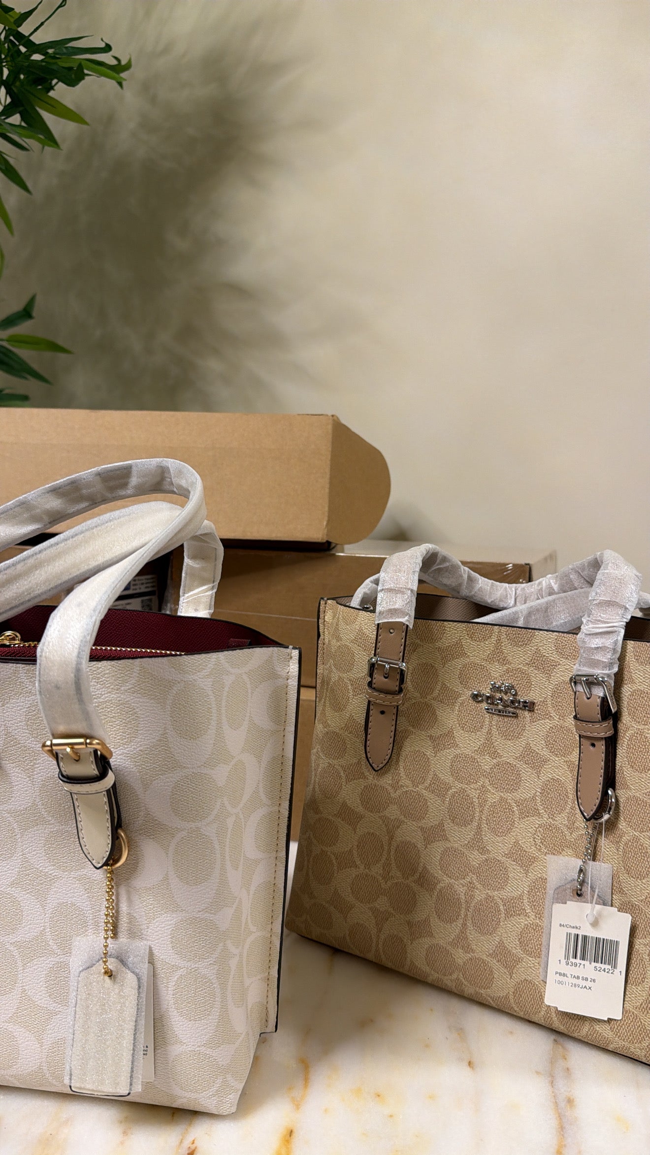 Coach tote (25) white