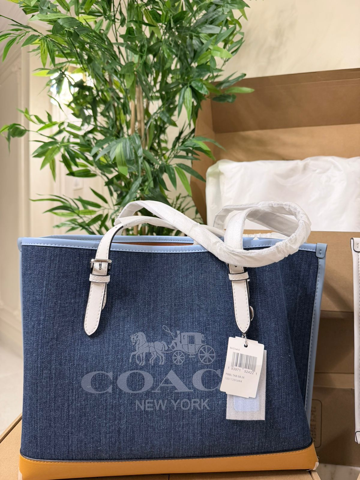 Coach Tote (38)