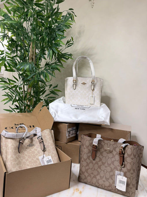 Coach bag (25) biege