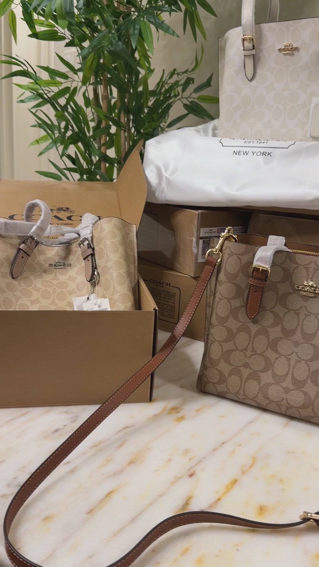 Coach bag (25) biege