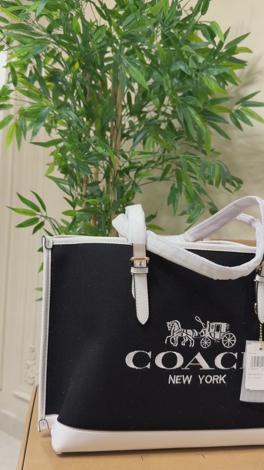 Coach Tote (38)