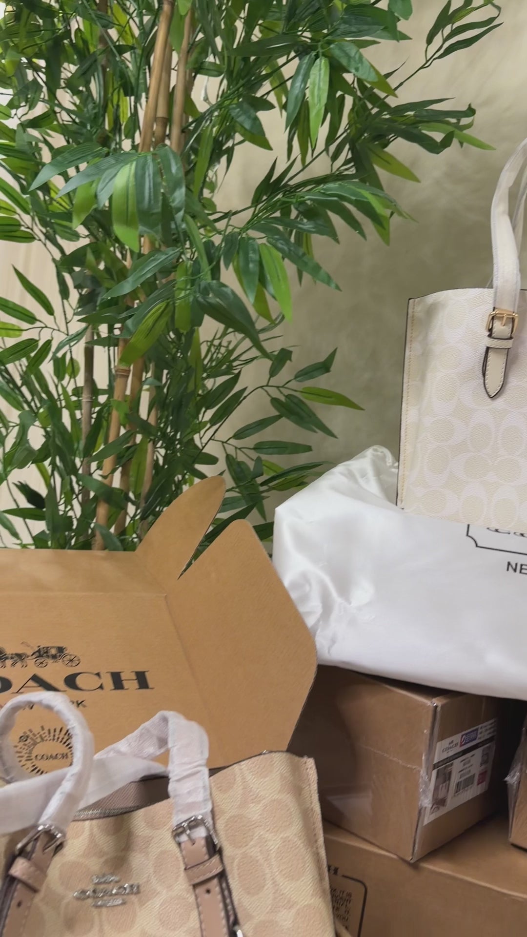 Coach bag (25) biege